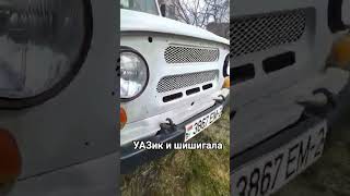#dj #dj #music #ias #retro #dance #актив #automobile