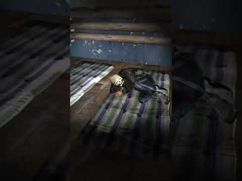 Сон бандитов в Тёмной долине - Сталкер: Тень Чернобыля #Shorts