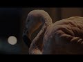 Hurts Somebody Official Video Hurts Somebody Official Video