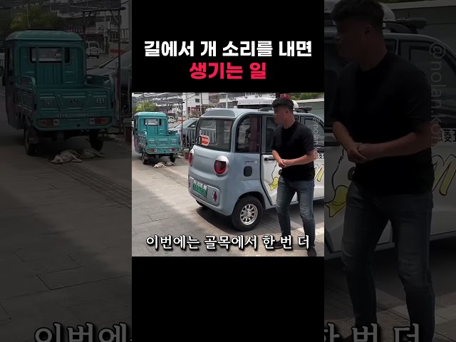 길에서 개 소리를 내면 생기는 일