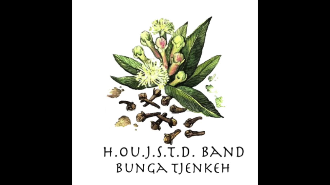 H.ou.J.S.T.D Band  – Toma