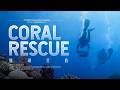Guardians Beneath the Storm: Coral Rescue Mission #CoralRescue