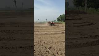 Massey 245DI tractor #kisaankisoch #bablupunia #anshpunia #puneetpunia