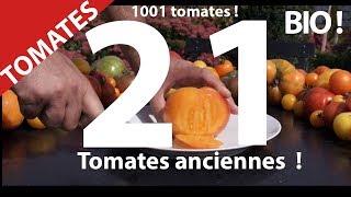 Tomate.21 tomates bio anciennes.Nature, Jardin, Santé, biodiversité alimentation.Hurryken Production