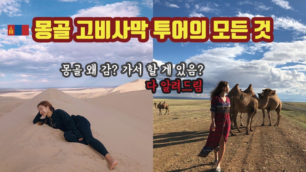 🇲🇳 요새 핫한 몽골, 고비사막 투어 후기 / Mongolia Gobi Desert Tour
