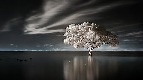 Let US Make Man (complete)