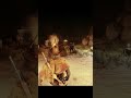 &quot;Not gonna happen Partner&quot; Brutal QuickDraw | Red Dead Redemption 2 #reddeadredemption #gaming