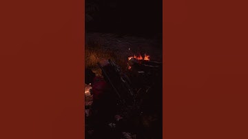 Outpost Traps To The Rescue I State of Decay 2