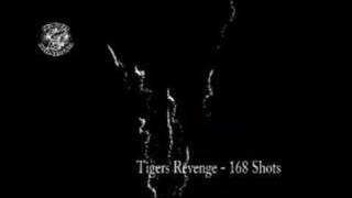 Tigers Revenge