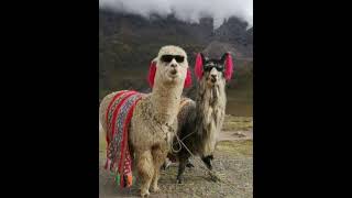 Sana Doğru - Speedup