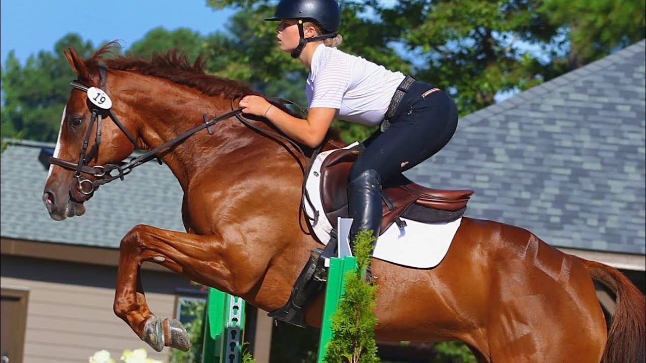 2026 SJ Video Application (Ava P Davis)