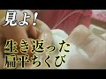 【母乳　拒否→ゴクゴクへ】おっぱいを嫌がっていた新生児がおっぱい星人にOketani Method of Breastfeeding Management, Japan