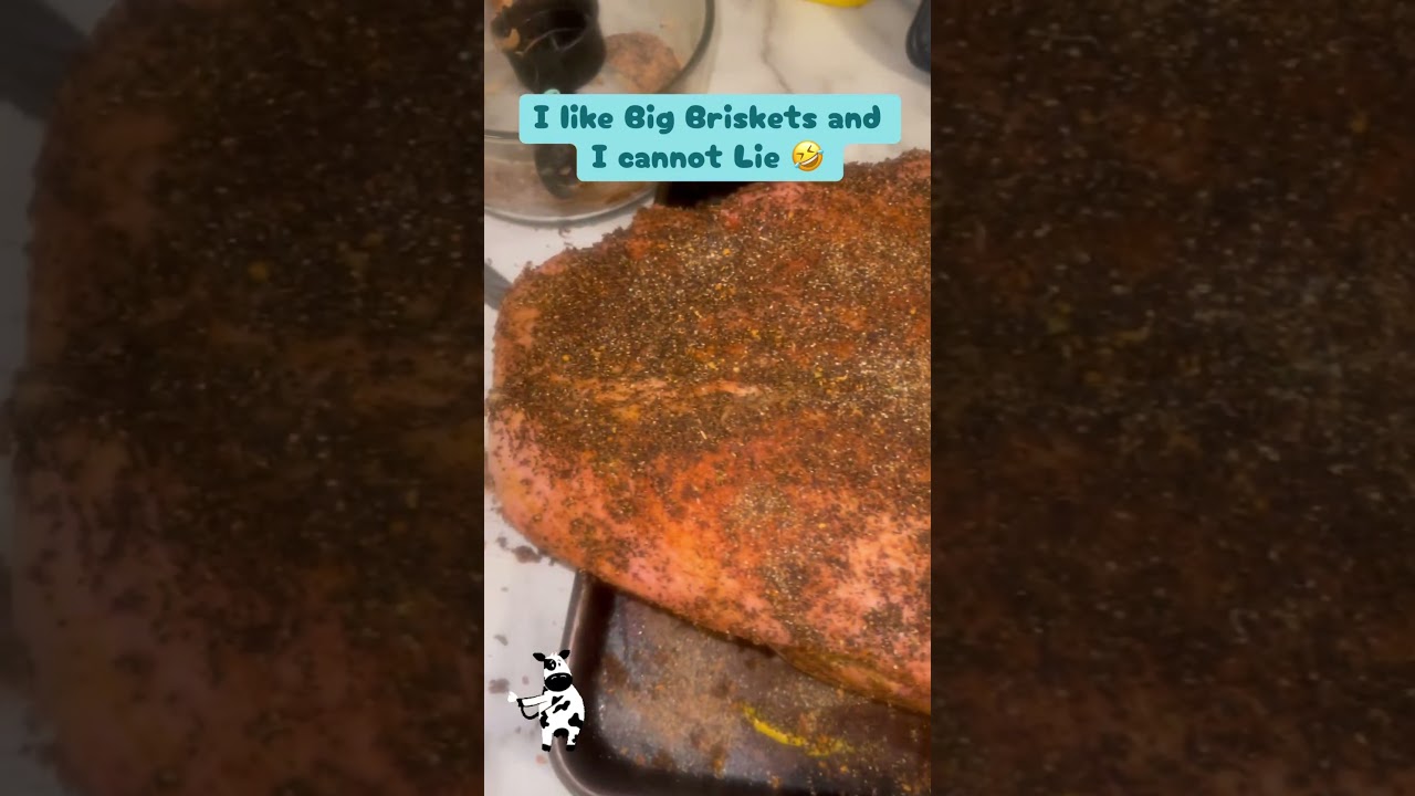I Like Big Briskets and I Cannot Lie!