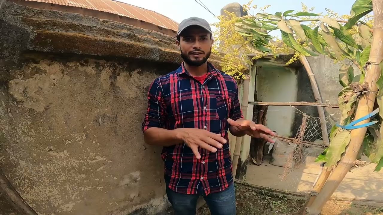 গাছ ভর্তি আমের মুকুল, এসময় পরিচর্যা#agriculture #farming #villagelife #hardwork #farmer #vlog 