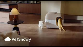 PetSnowy SNOW+ Self Cleaning Litter Box
