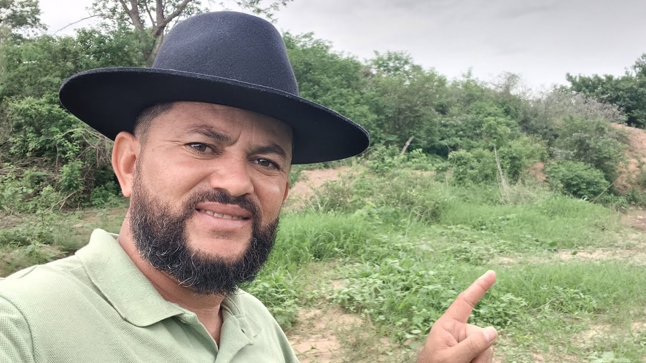 Vendo essa maravilha com 75 hectares com muito pasto 8799102 3154 