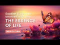 Soothe  nourish yourself with the essence of life i meditation experience