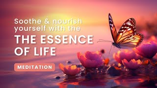 Soothe Nourish Yourself with the Essence of Life I Meditation Experience