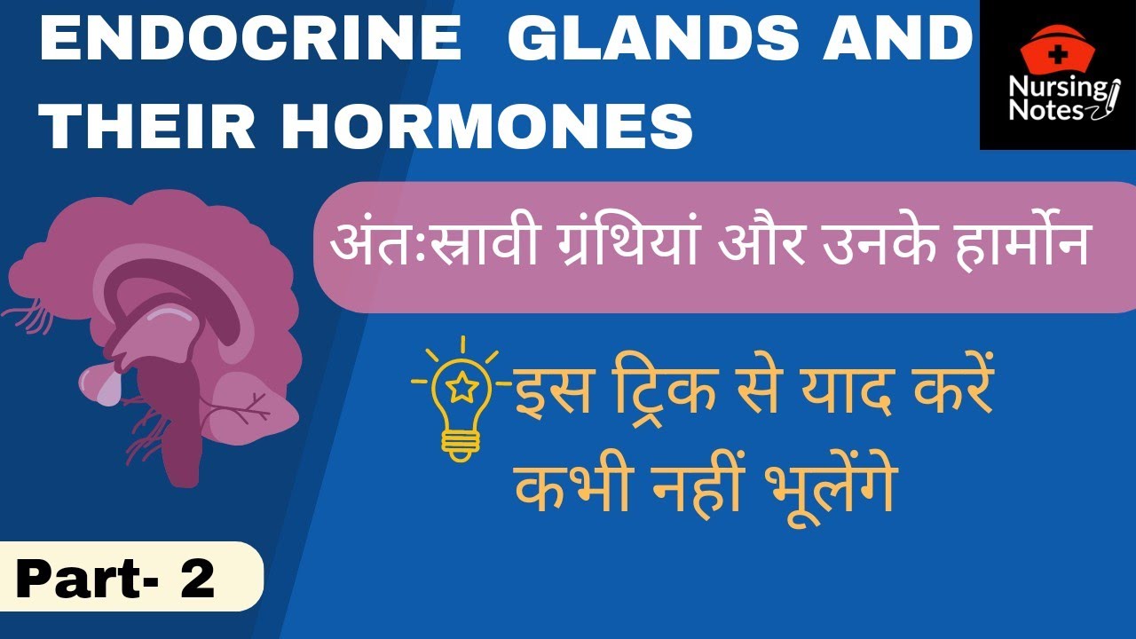 Endocrine glands and their hormones in Hindi।Hormones/Endocrine system ...