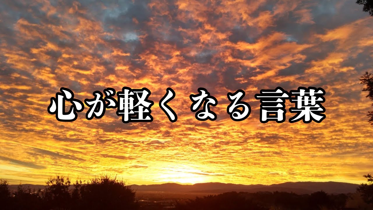 心に響く瞬間、癒しのフレーズ #名言 #名言集 #心に響く言葉 - YouTube
