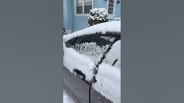 Day 1 of writing Elon Musk in my Tesla until he writes my name!!