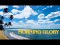 🌴 Tatsuro Yamashita - MORNING GLORY 🌊
