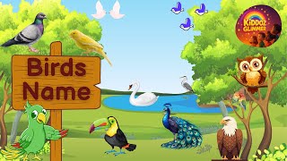 Birds Name for kids | Learn Bird Names  in English | Pictures + Videos | #birds #birdsnames screenshot 2