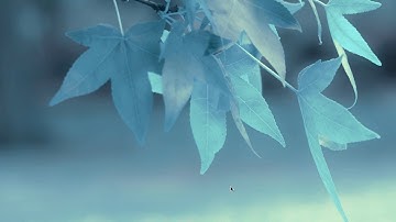 LIVE DEMO : GNOME DE + QUICK CUSTOMIZATION