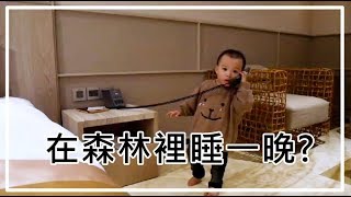 到現在還是念念不忘2年前才花不到1000元就入住的夢幻森林系4星級飯店。feat. 台北阿樹國際旅店  | 小米