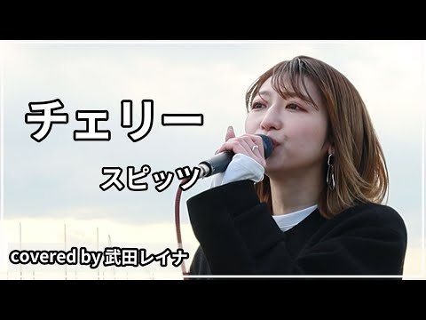 【女性が歌う】チェリー/スピッツ covered by 武田レイナ