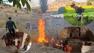 Finding a clue about Taybeh and Qadir in the farm room