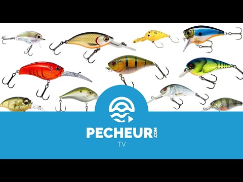 Incontournable crankbait 