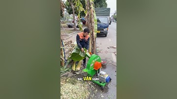 Băm 200 Thân Cây Chuối Khổng Lồ Mỗi Giờ Với Máy Băm Chuối C600