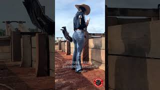 Eso pasa cuando no pones atención al vacunar el ganado #zootecnia #rancho #finca #ganadero #humor screenshot 3