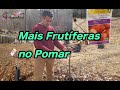 Plantamos Mais Frutíferas no Pomar / We plant more fruit trees in the orchard