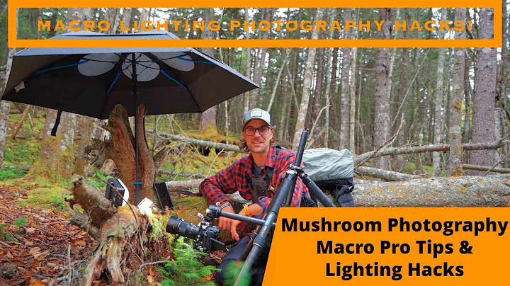 Mushroom Macro Photography in the Rain, 2 Easy Hacks & Tips!