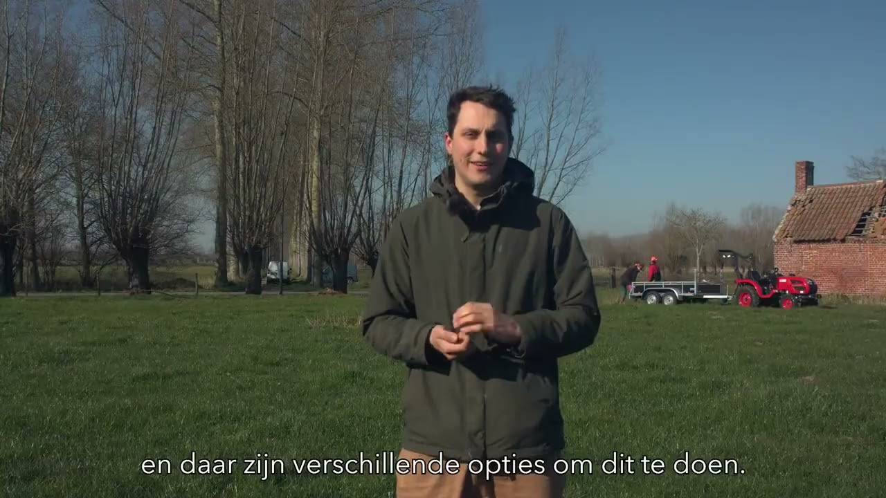 Houtsnippers zijn goud waard!