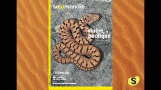La Revue Salamandre N252 Vipère, La Pacifique