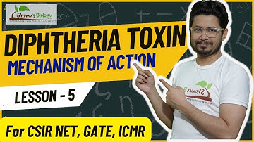 Diphtheria toxin mechanism of action | mode of action