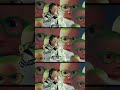 こっちのけんと『だだ』Music Video公開🎥#newmusic#だだ#こっちのけんと#shorts