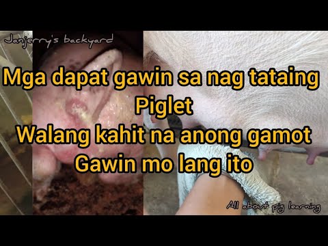 ผลสลากกินแบ่งรัฐบาล วันที่ 1 พย. 2567