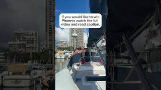 Giving My Boat Phoenix Away. Not My Kitty Phoenix Lol For More Details Read Caption On My Instagram.