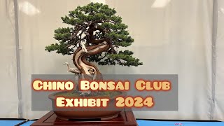 Chino Bonsai Club Exhibit 2024