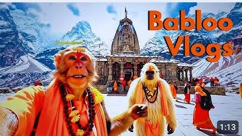 MY FIRST VLOG || MONKEY BLOGON HARIDWAR#vlog#haridwarvlog#monkeyvlog#monkeyvlogger#monkeyvlogs#viral
