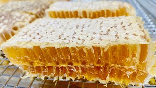 Cutting Comb Honey— The New Pierce Comb Honey Cutter!!!