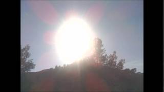 Wox32Live Acid Mental Travel