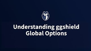 Understand the ggshield help menu ( options and global flags)