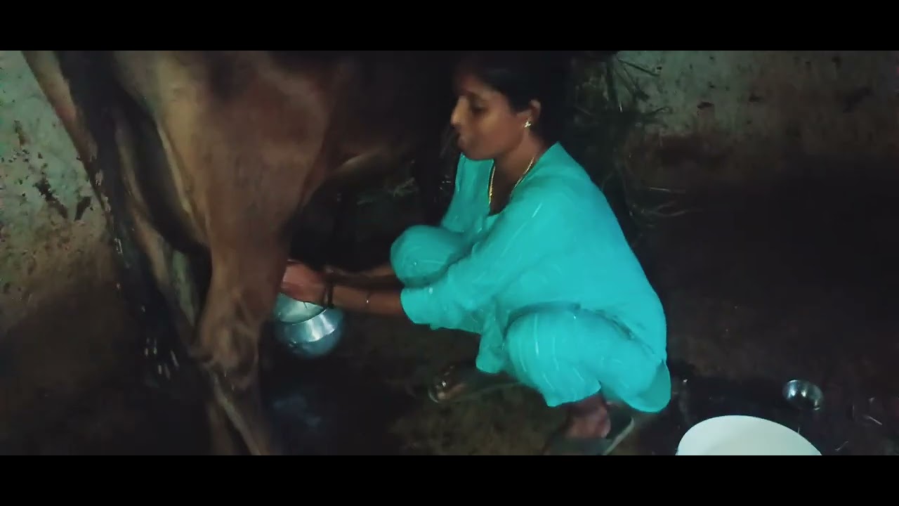 ಹಳ್ಳಿ ಕಡೆ ಯಾವ್ ತರ ಹಾಲು  ಕರೀತೀನಿ ನೋಡಿ 