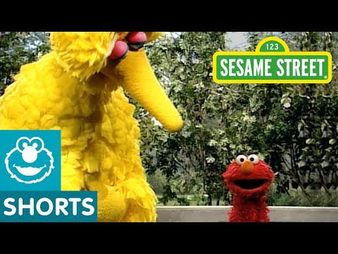 sesame-street:-elmo-shows-emotions-with-zoe,-bert-and-big-bird