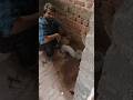 Indian seat fittings#shorts  #youtubeshorts #plumber #technician